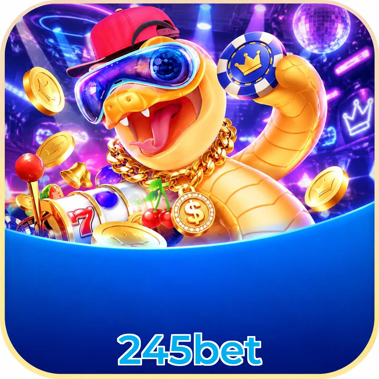 245bet Avaliações